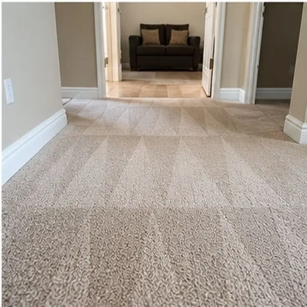 Carpet cleaning results in Brooklyn VIC